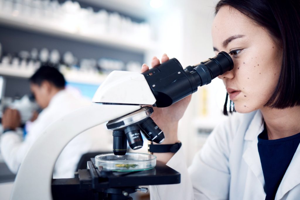 Woman, leaf and scientist with microscope for research, plant testing or analysis. Food science, biotechnology and female doctor or botanist with medical petri dish for gmo experiment in laboratory.