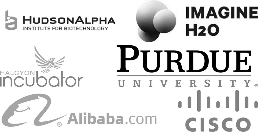 partners